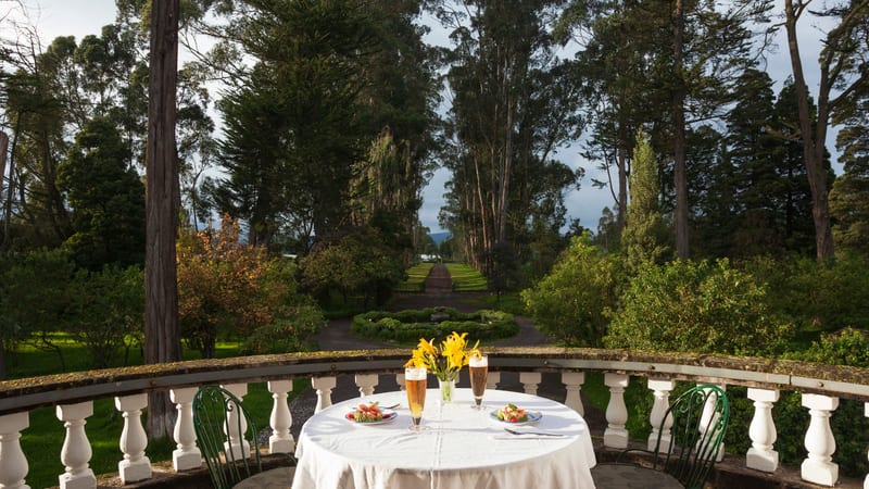Breakfast laid on the terrace, with the avenue beyond — Hacienda La Ciénega, Cotopaxi — photograph by the hacienda