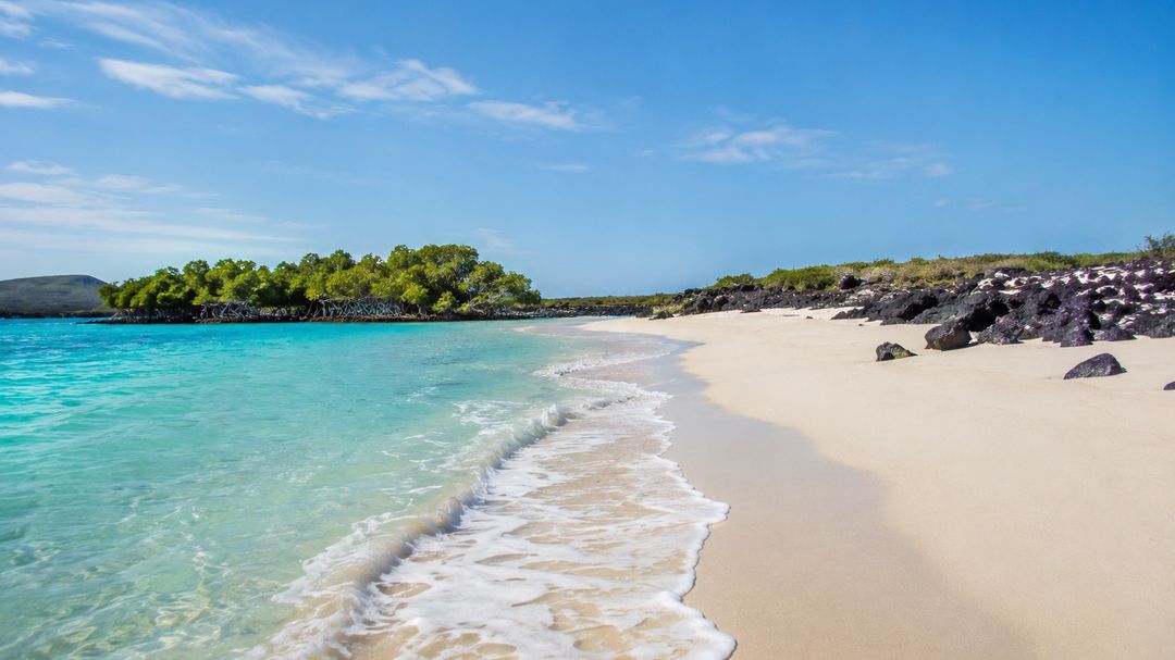 A quiet beach and turquoise shallows on a Galápagos island