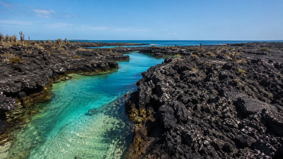 5-Day Galápagos: Santa Cruz & Isabela