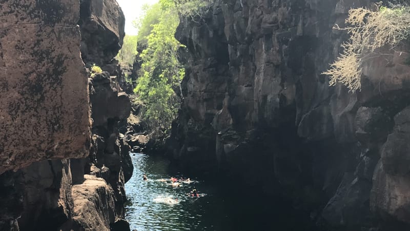 Las Grietas, the flooded lava fissure you swim in — Santa Cruz, January 2019 — our own photograph