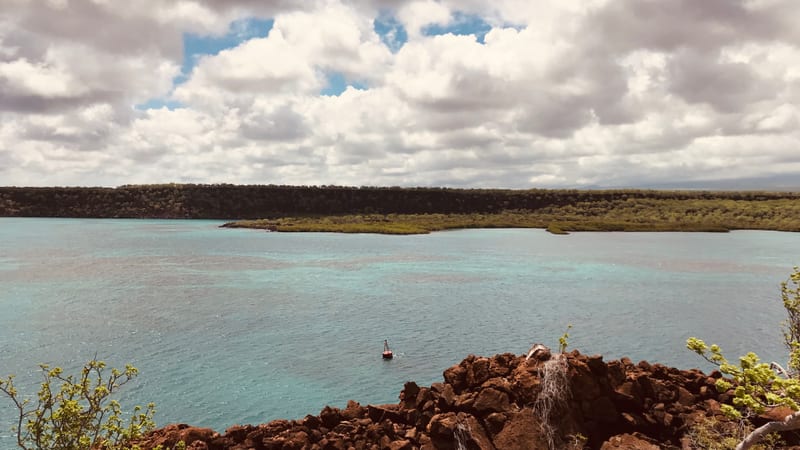 The lagoon and red lava by the Itabaca Channel — Itabaca Channel, north of Santa Cruz, January 2019 — our own photograph